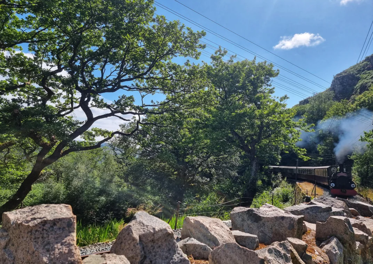 A small steam train travels along a track surrounded by lush green trees and rocks under a bright blue sky with a few clouds. Smoke rises from the train’s chimney, and power lines cross the scene above.