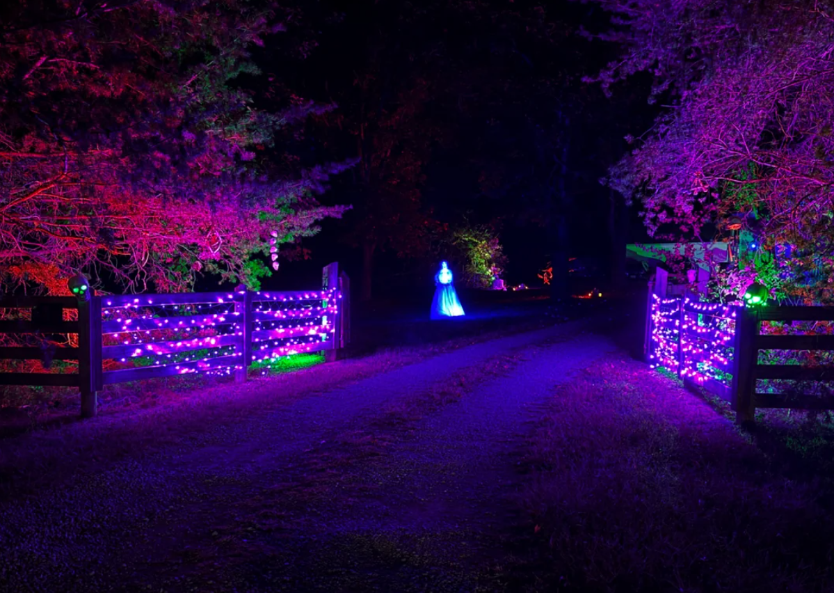 A country driveway is decorated with purple and green lights on fences, showcasing festive Halloween yard decorations. In the distance, a glowing blue figure stands under trees, creating a mystical and colorful nighttime scene.