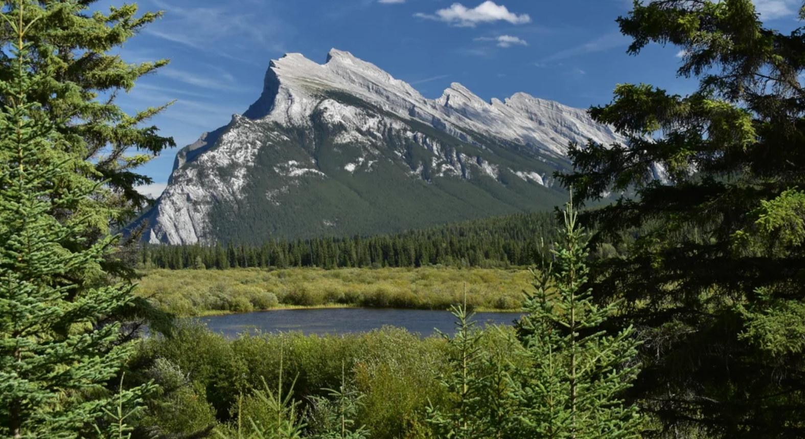 Snow-capped mountain peaks rise above a forest of evergreen trees, with a small lake or pond in the foreground under a clear blue sky.