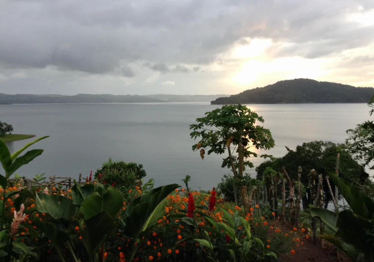 A tranquil lake with surrounding hills under a cloudy sky at sunset. Lush greenery and colorful flowers fill the foreground, with a papaya tree near the shore—a scene reminiscent of trips to national parks in America, where nature’s beauty unfolds in every direction.