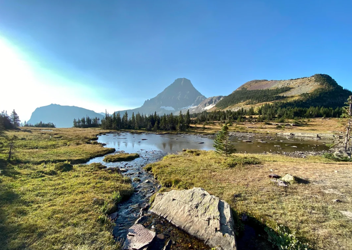 A rocky stream flows into a small reflective pond, surrounded by grass and pine trees, with tall mountains and a clear blue sky in the background—the perfect scene to encounter during trips to national parks in America.