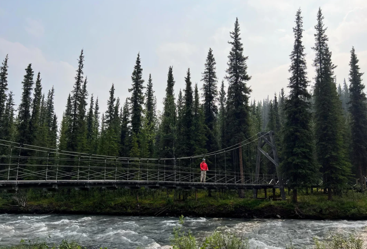 A person in a red jacket stands on a suspension bridge over a river, surrounded by tall evergreen trees and dense forest under a hazy sky, evoking the breathtaking scenery often found in American National Parks.