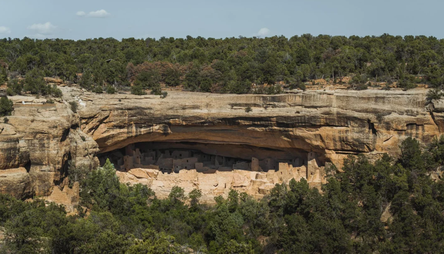 Ancient cliff dwellings built into a large rock alcove, surrounded by dense green trees, under a clear sky at Mesa Verde National Park—one of the most remarkable American National Parks.