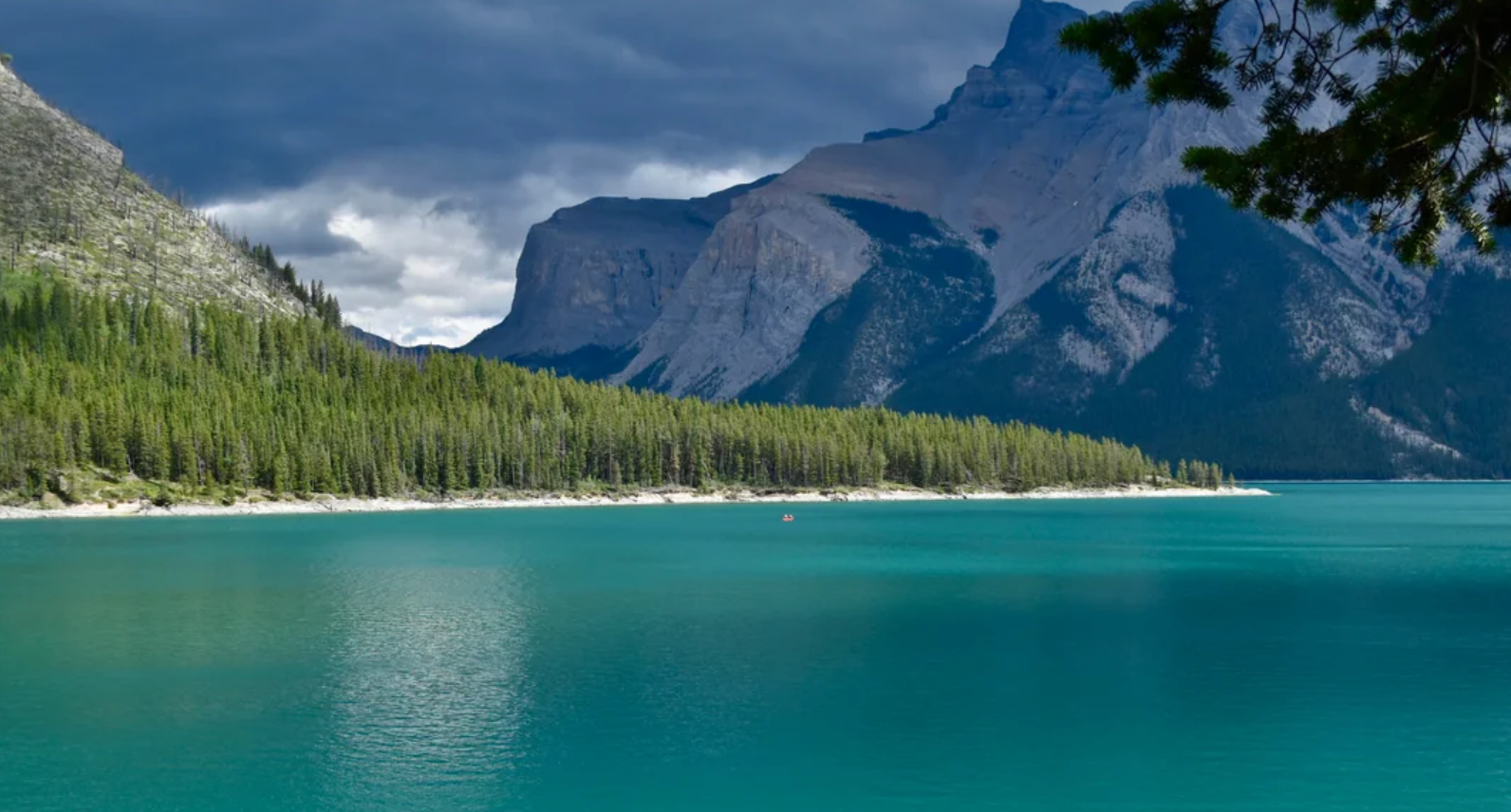 Clear turquoise lake with a dense pine forest along the shore, set against rugged, shadowed mountains under a dramatic, cloudy sky—evoking the untamed wilderness found in many American National Parks. Pine branches frame the upper right corner.