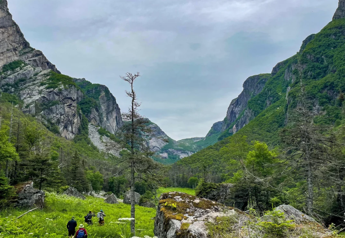 A group of hikers walk through a lush green valley surrounded by tall, rocky mountains and trees under a cloudy sky, capturing the breathtaking beauty often found in American National Parks.