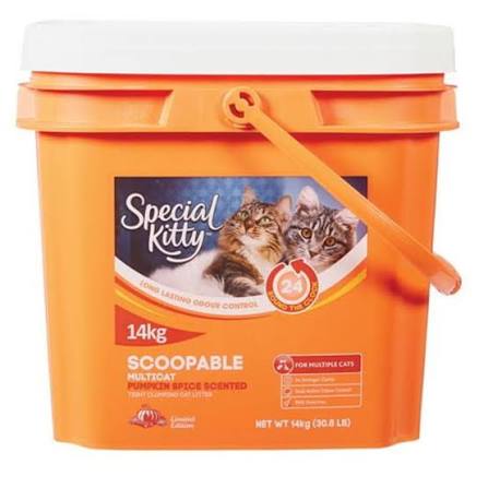 An orange 14kg container of Special Kitty Scoopable Multicat Pumpkin Spice Scented cat litter, featuring two cats on the label and a carrying handle.