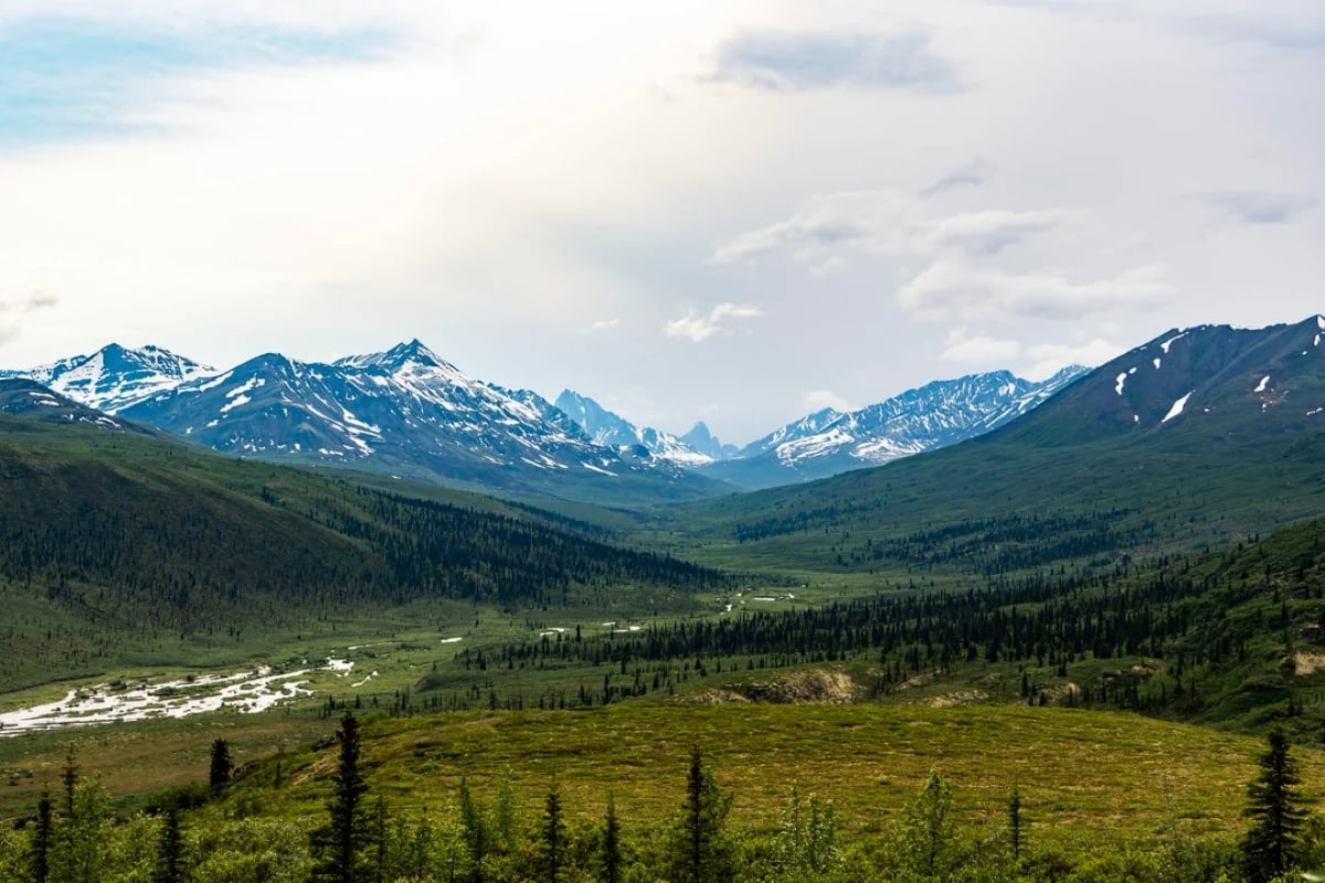Snow-capped mountains rise above a wide, green valley with a winding river, perfect for scenic road trips. Pine trees cover the hills in the foreground under a partly cloudy sky.