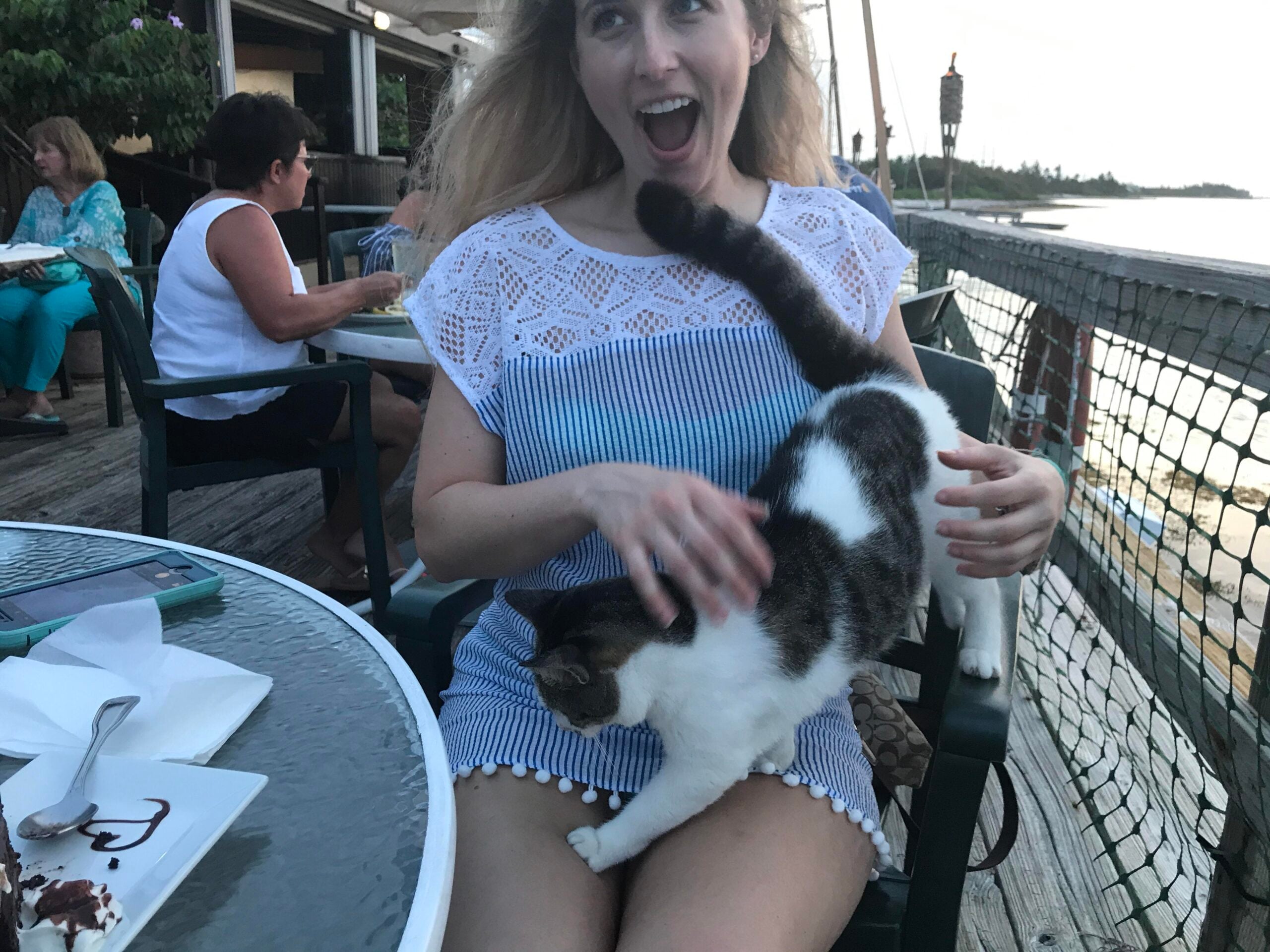 A woman sitting at an outdoor table smiles excitedly as a cat climbs onto her lap. Other people are seated nearby, and a dessert plate is on the table.
