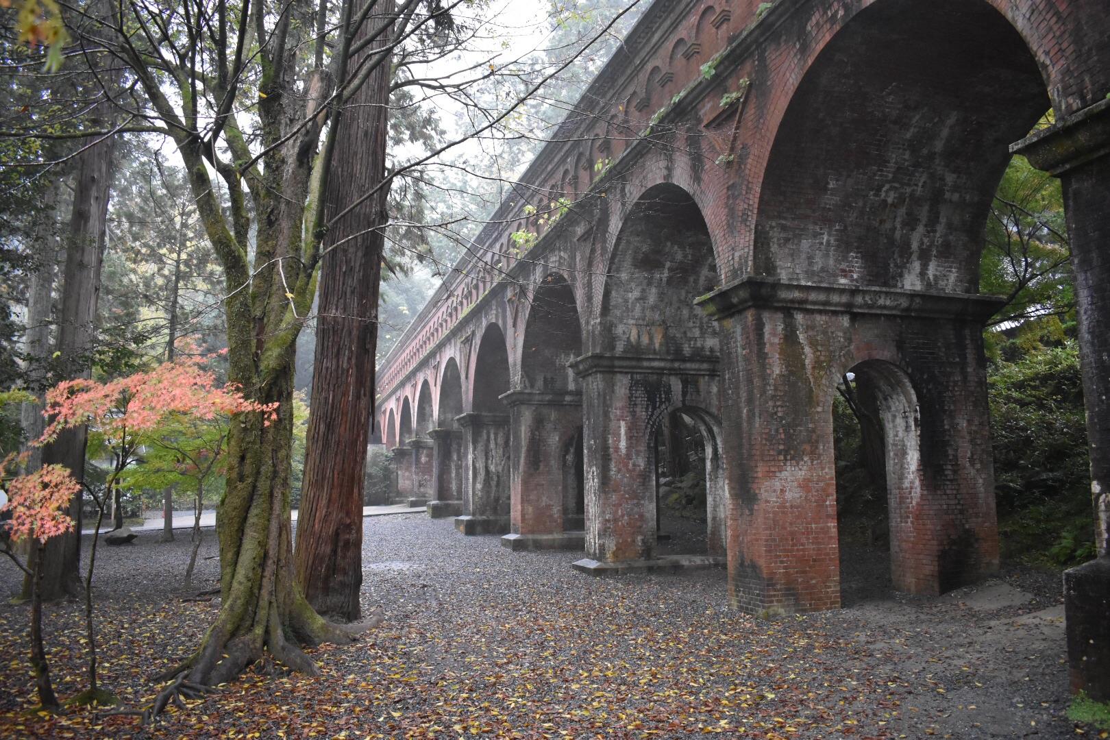A brick aqueduct with large arches runs through a misty forest. Fallen leaves cover the ground and some autumn-colored trees stand nearby.