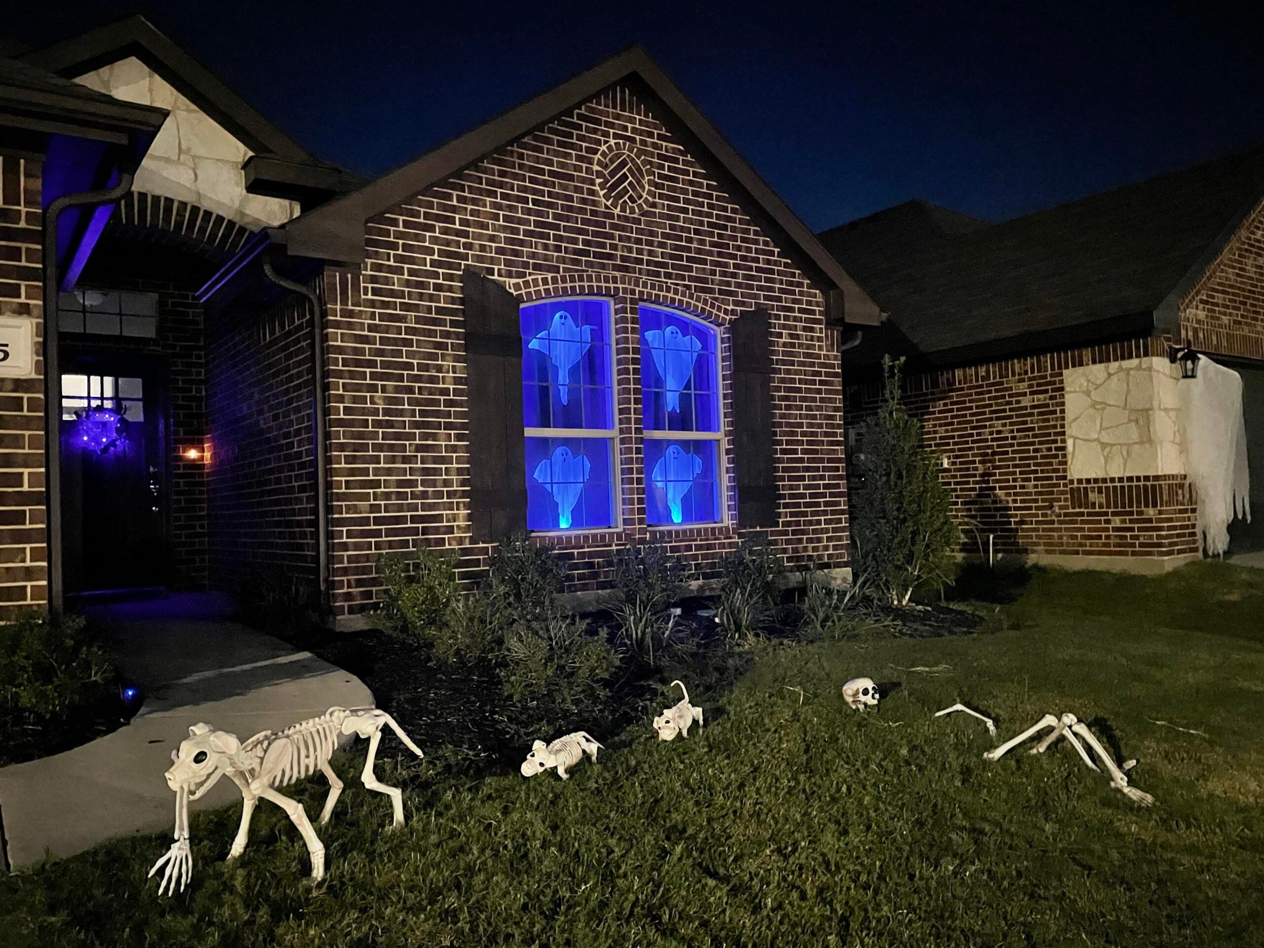 A brick house decorated for Halloween features glowing blue ghost figures in the windows and skeleton dog decorations scattered across the front lawn at night, creating a spooky showcase of Halloween yard decorations.