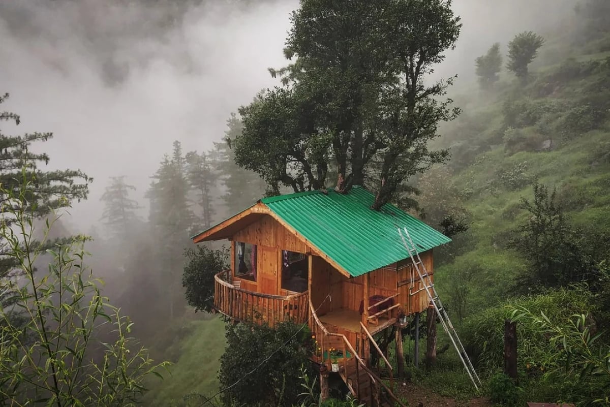 A wooden treehouse with a green roof sits on a misty hillside, surrounded by lush green trees and fog, with a ladder propped against its side and a large tree growing through its roof.