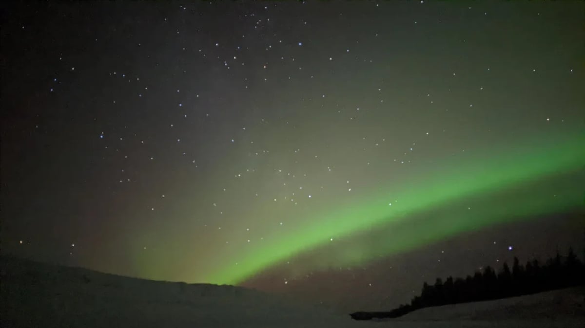 Green aurora borealis lights sweep across a dark night sky filled with stars, above a snowy landscape and a silhouette of trees.