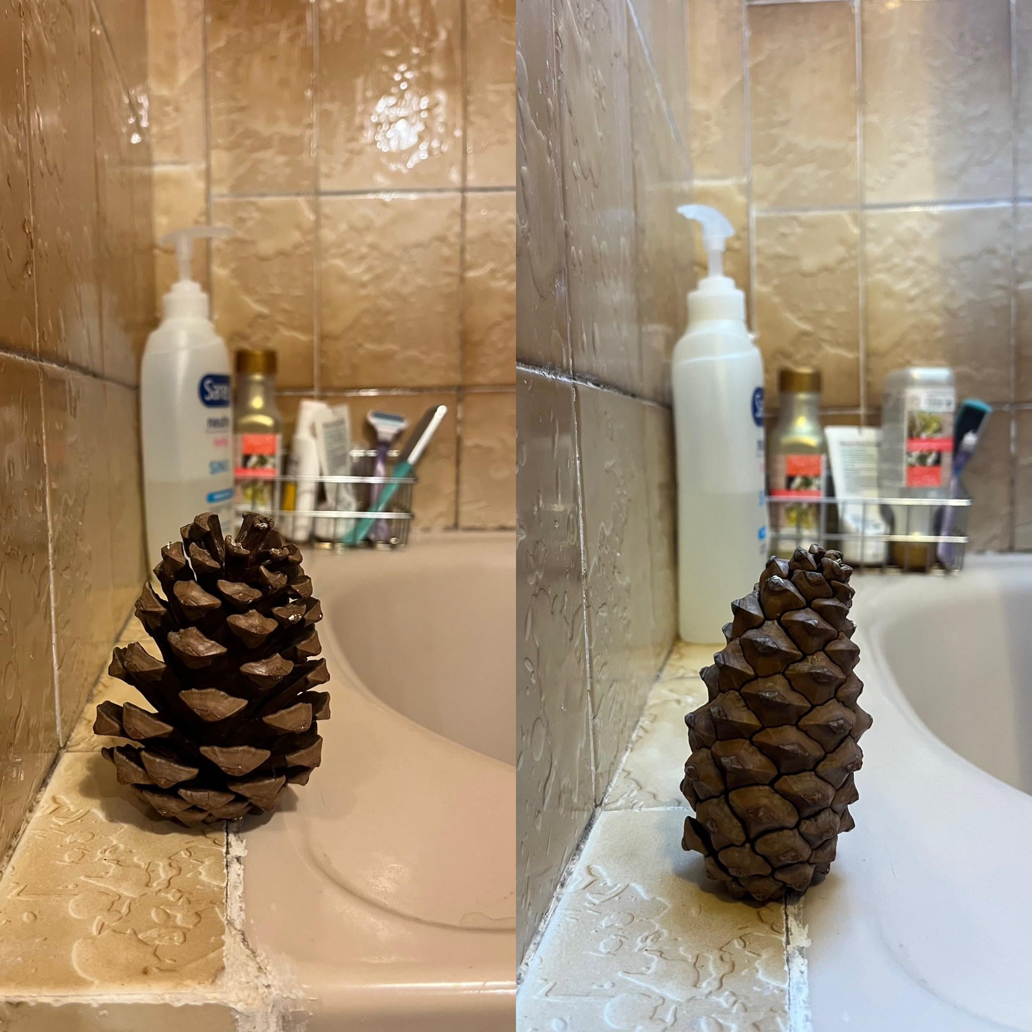 Two photos of a brown pine cone on a bathroom sink, with toiletries and a tiled wall in the background. The pine cone is viewed from the front in the left image and from the side in the right image.