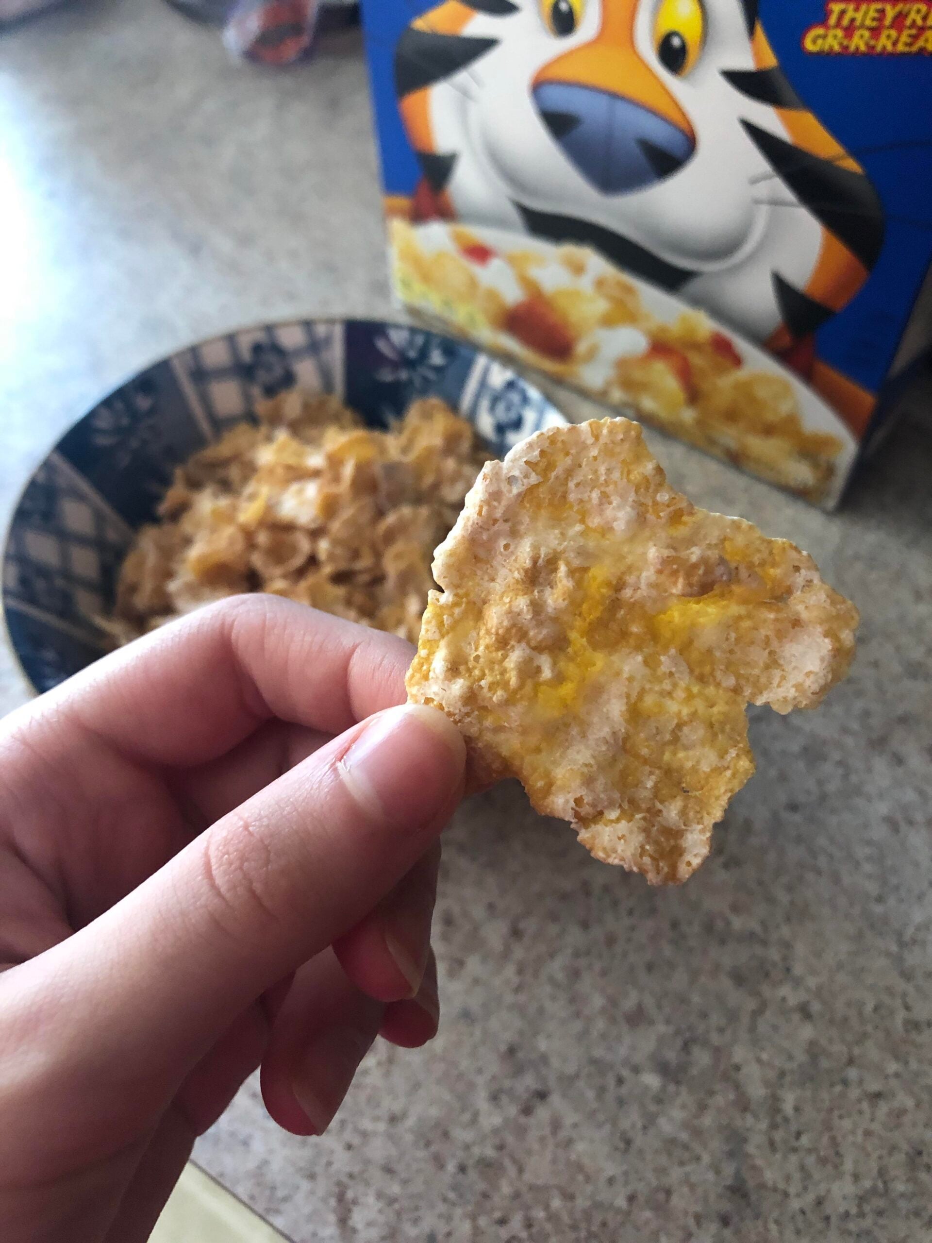 A hand holds a large cornflake in front of a bowl of cereal and a cereal box featuring a cartoon tiger on a kitchen counter.