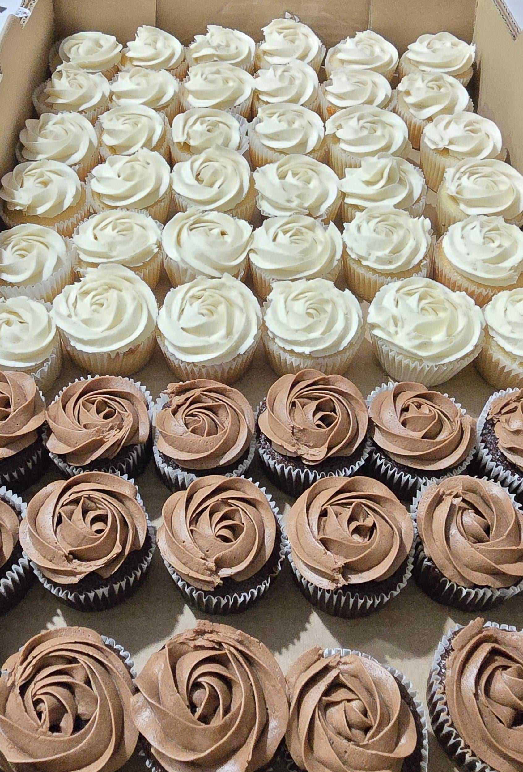 A box filled with rows of cupcakes: white vanilla cupcakes with white frosting in the back, and chocolate cupcakes with chocolate frosting in the front.