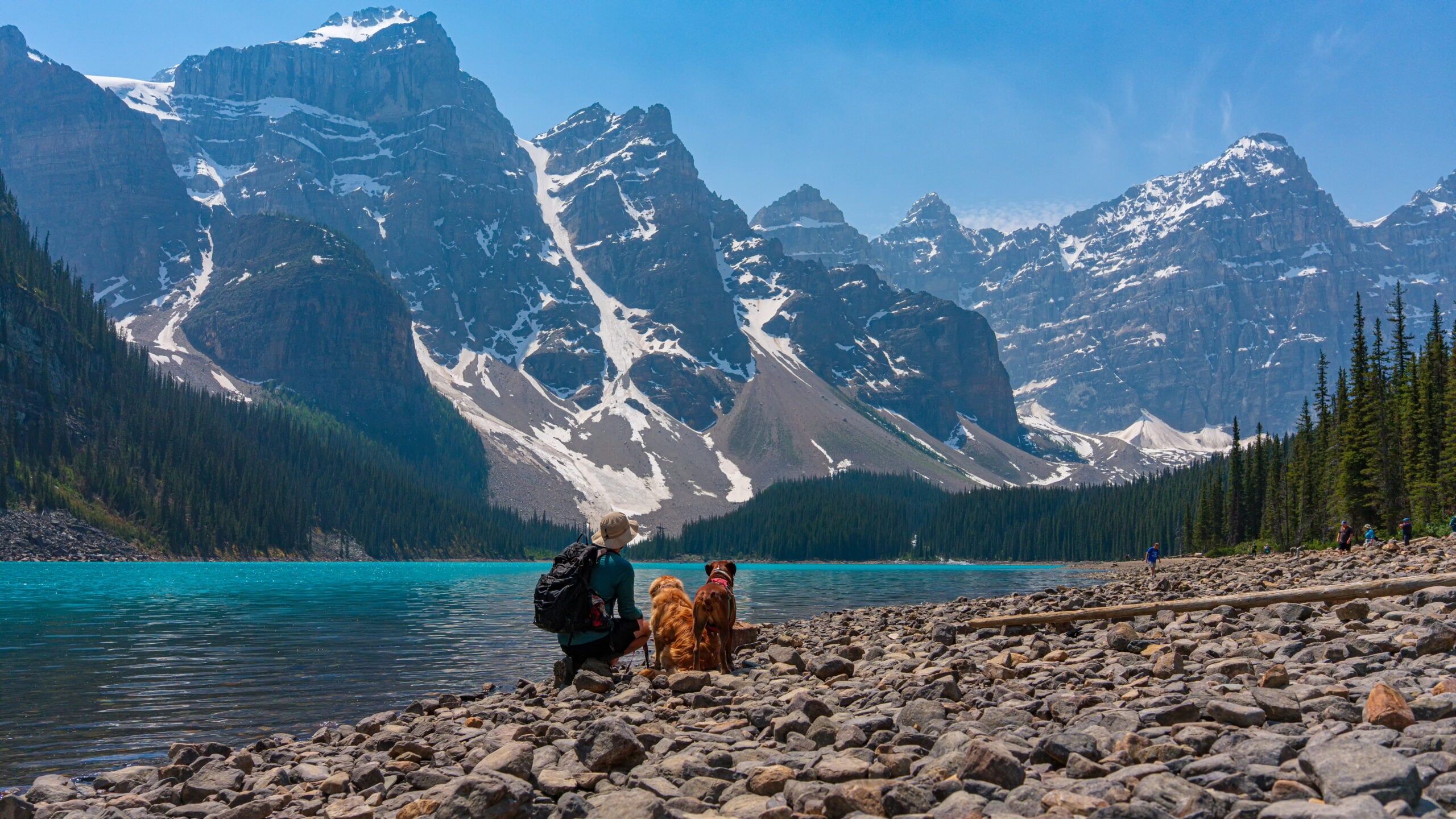 A person with two dogs kneels on a rocky lakeshore, facing turquoise water and snow-capped mountain peaks under a clear blue sky, surrounded by pine trees.