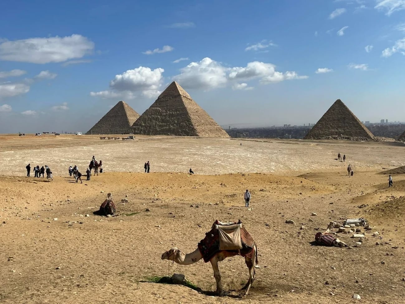 A camel rests in the foreground with the three Pyramids of Giza in the background under a blue sky, as groups of people walk around the sandy desert landscape near Cairo—one of the Biggest Cities In The World.