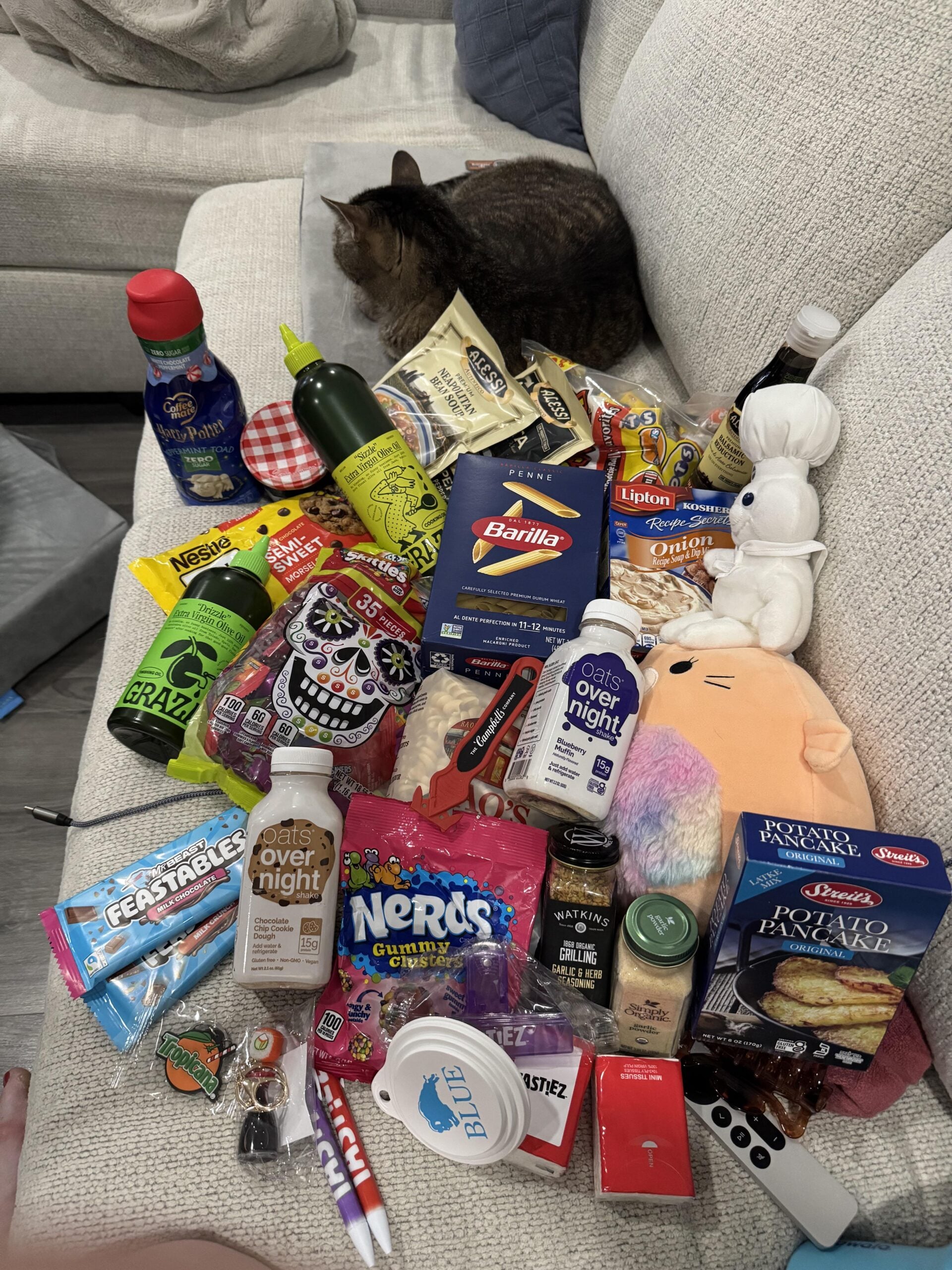 A cat sits on a couch behind an assortment of snacks, drinks, stuffed toys, toiletries, pens, and other small items spread out on the seat.