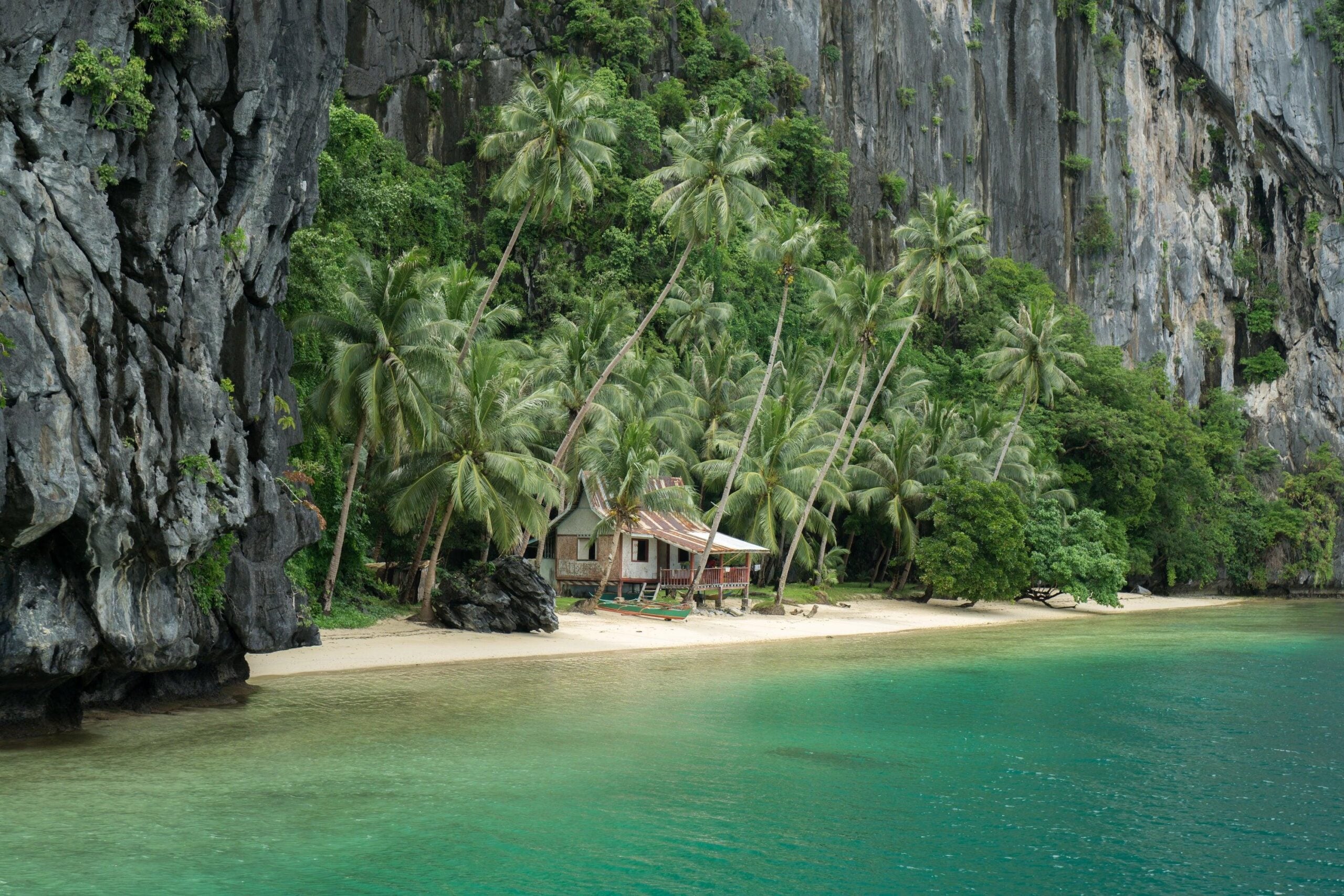 A small house stands on a sandy beach surrounded by tall palm trees and dense greenery, nestled within one of the world’s stunning tropical locations. Steep rocky cliffs rise behind the house while clear turquoise water sparkles in the foreground.