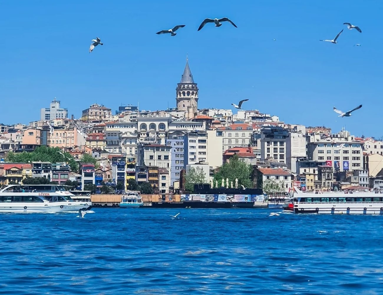 Istanbul cityscape with Galata Tower, surrounded by historic buildings, boats on the blue water, and seagulls flying under a clear sky—a breathtaking view from one of the Biggest Cities In The World.