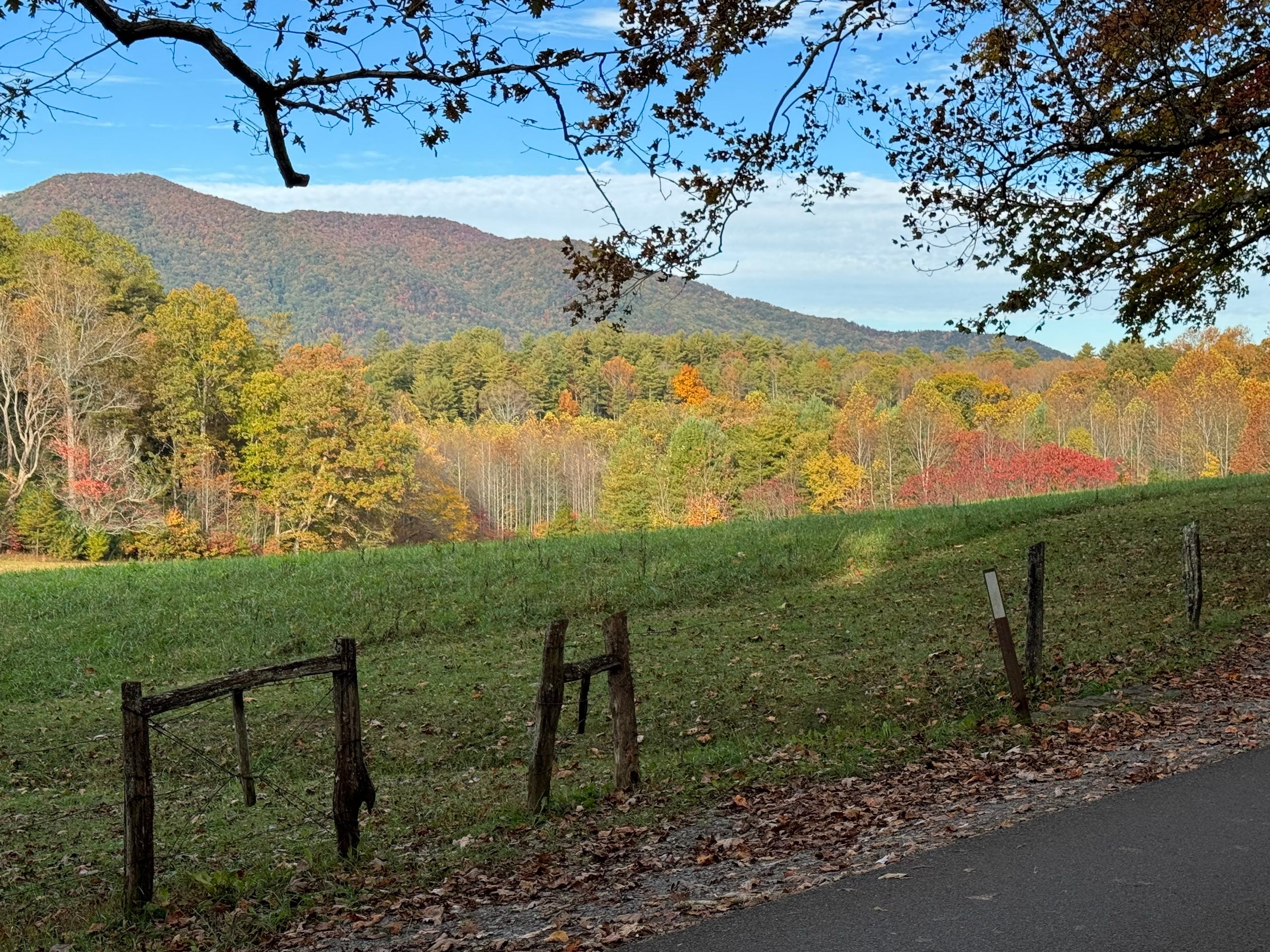 A scenic view of a field with colorful autumn trees, mountains in the background, and a rustic wooden fence in the foreground—perfect for trips where getting there is part of the adventure.
