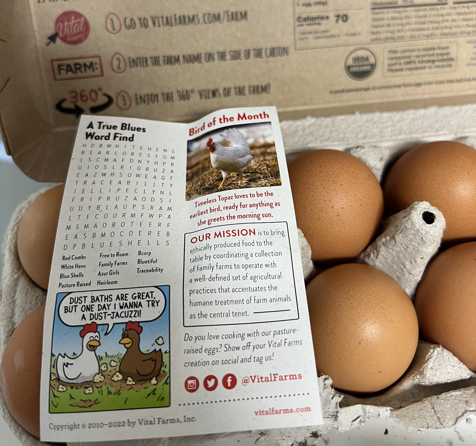 A carton of brown eggs with an open pamphlet showing a word search, cartoon ducks, and a section titled “Bird of the Month” featuring a chicken named Timeless Topaz. The pamphlet discusses animal care and cooking tips.
