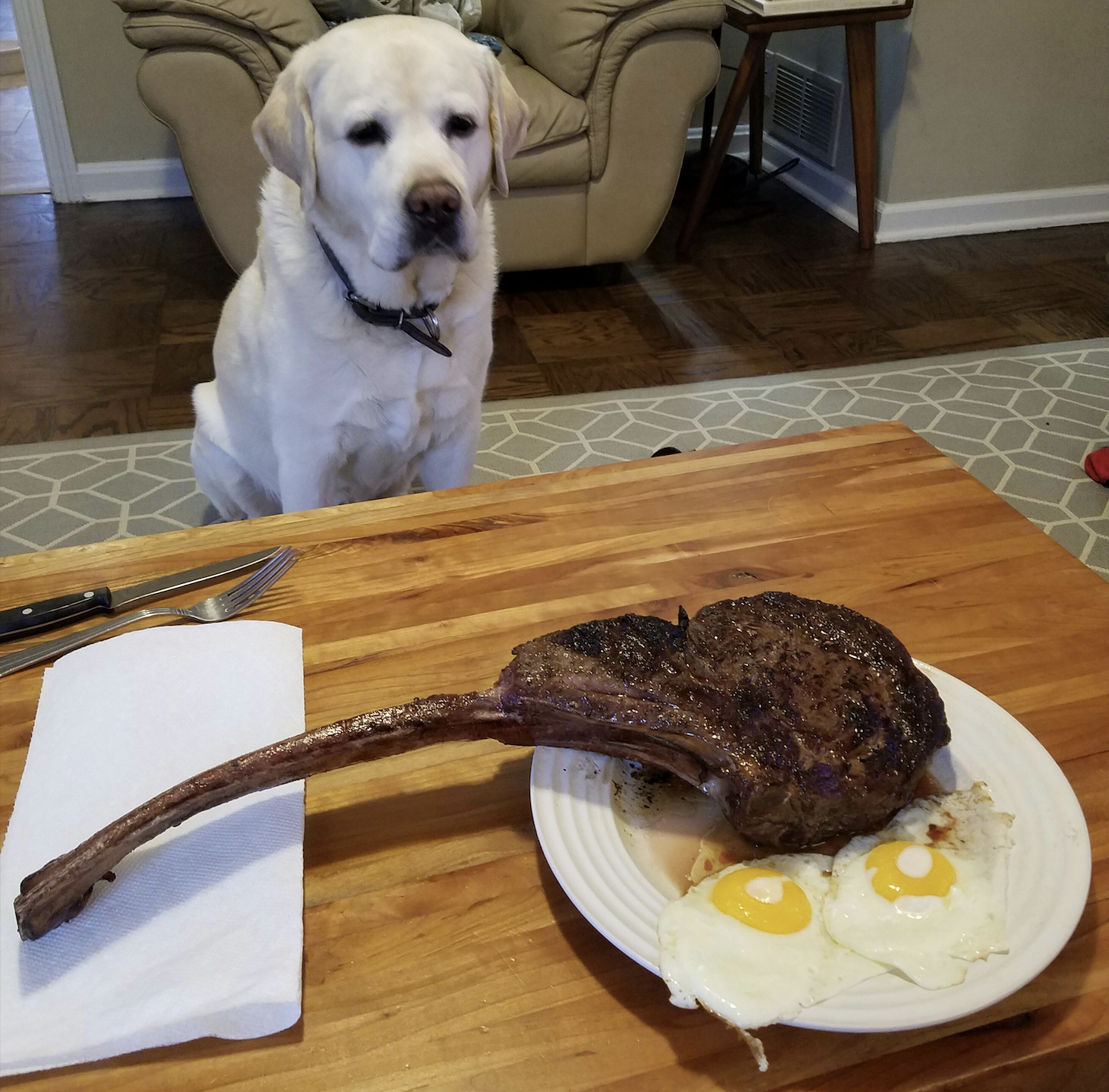 A yellow labrador sits behind a wooden table, staring at a large tomahawk steak and two sunny-side-up eggs on a plate.