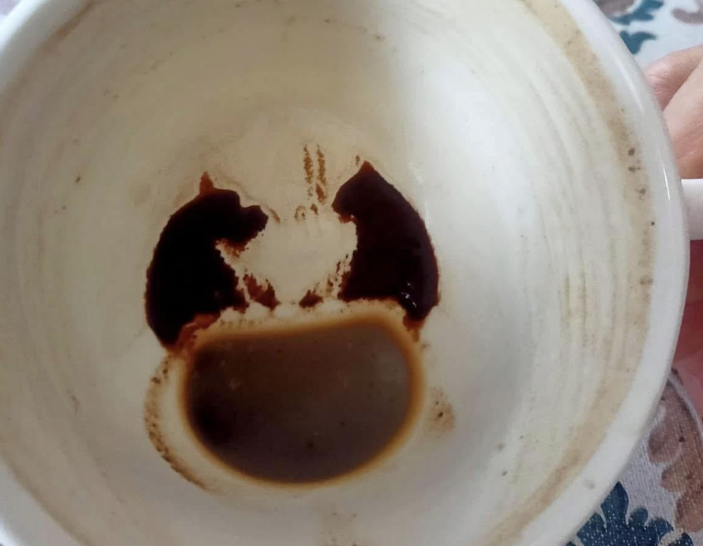 A white cup with coffee grounds forming a pattern at the bottom, resembling two animal silhouettes face to face and a darker, oval-shaped coffee stain below them.