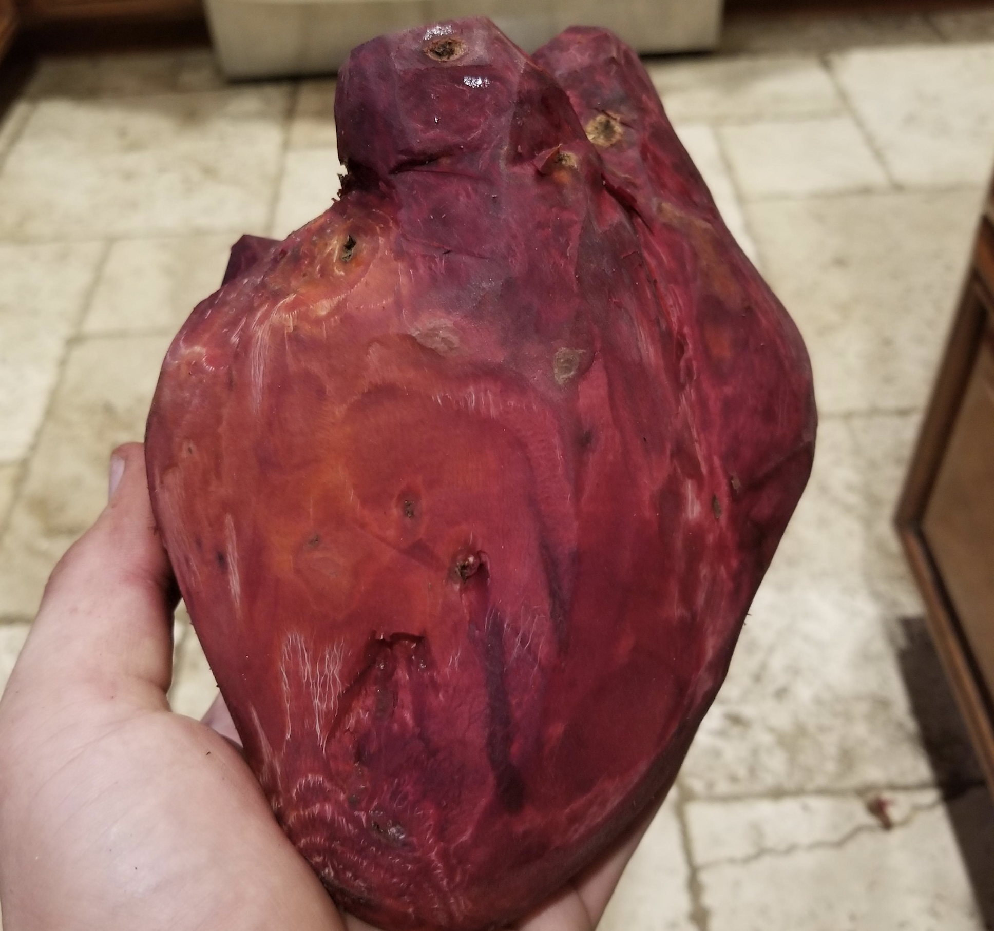 A hand holds a large, reddish, heart-shaped beet with rough skin and some patches, set against a tiled kitchen floor background.