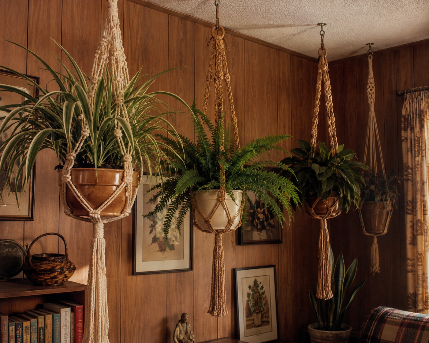 Three macramé plant hangers with lush green houseplants hang from the ceiling in a cozy, wood-paneled room decorated with framed art, books, and a window with patterned curtains.