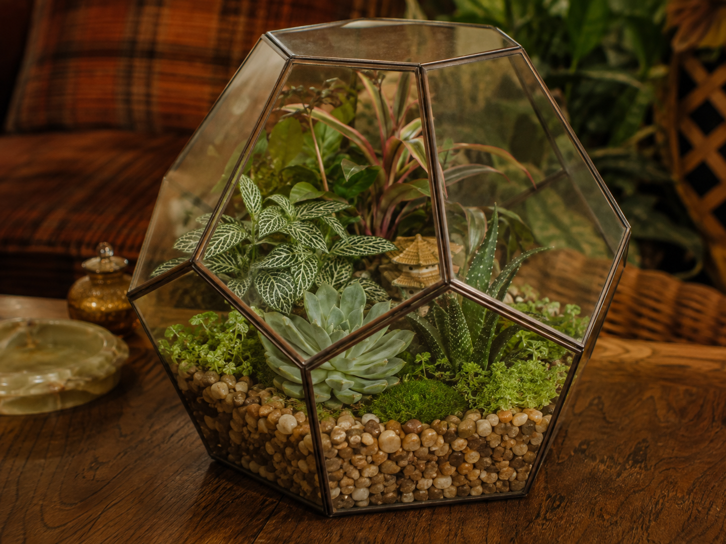 A glass geometric terrarium with various succulents and green plants sits on a wooden table. Pebbles cover the base, and indoor plants are visible in the blurred background.