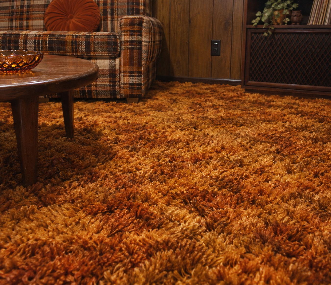 A close-up of thick, orange shag carpet in a retro living room with a plaid sofa, wood coffee table, and wood-paneled walls.