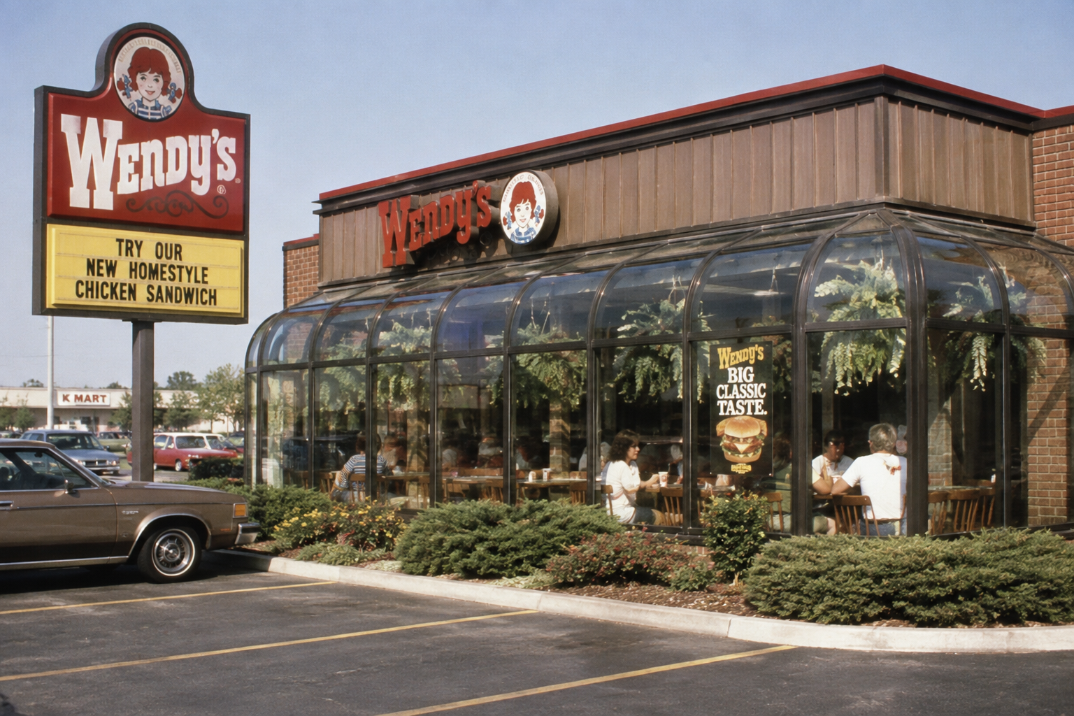 A Wendy’s restaurant with a glass-enclosed dining area, greenery hanging inside, and a sign outside promoting a new homestyle chicken sandwich. People are dining inside; a brown car is parked in front.