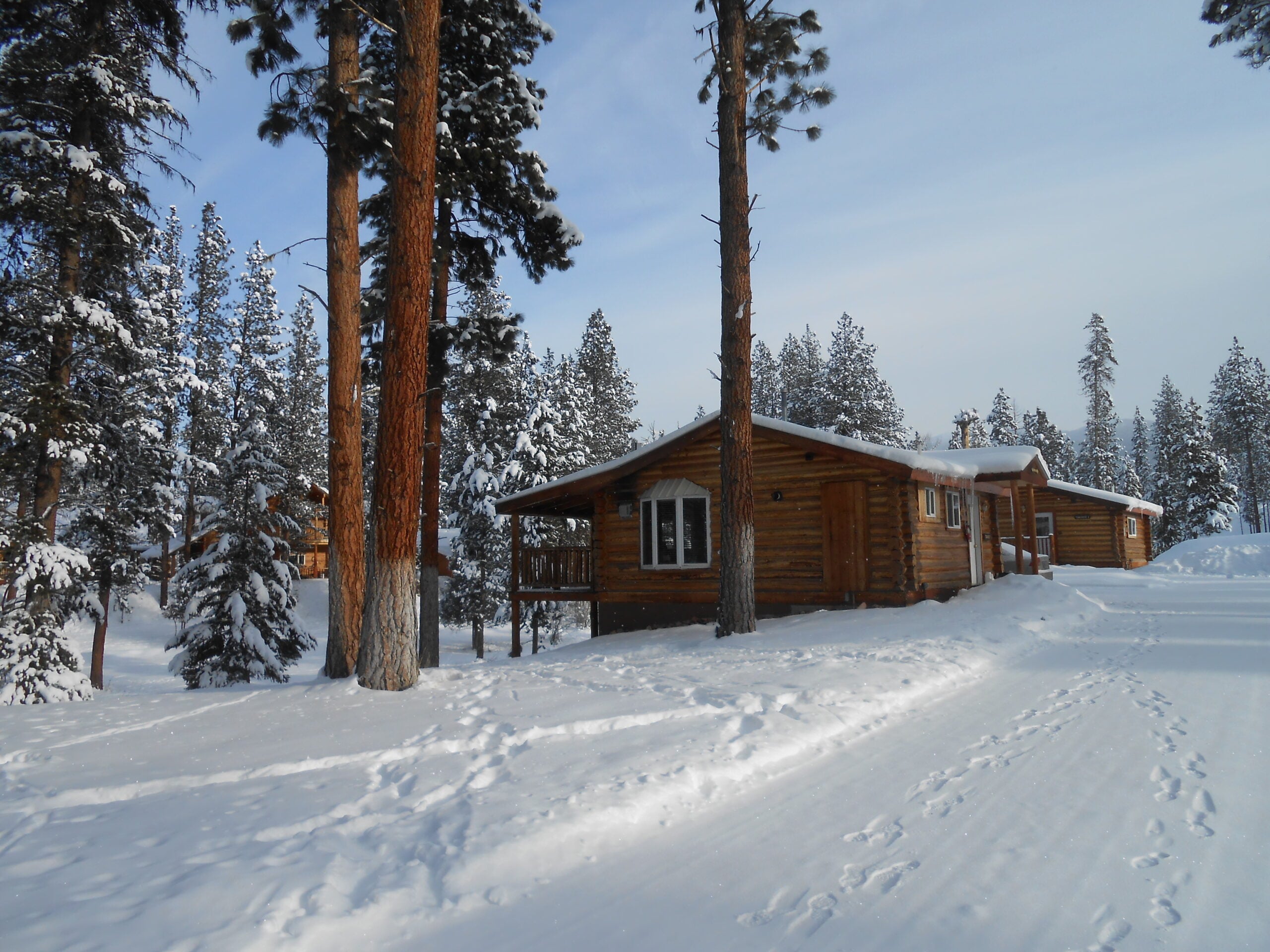 A wooden cabin, reminiscent of cozy resorts, sits among tall pine trees in a snowy landscape, with tracks in the snow leading to the cabin. The sky is clear, and everything is covered in fresh snow.