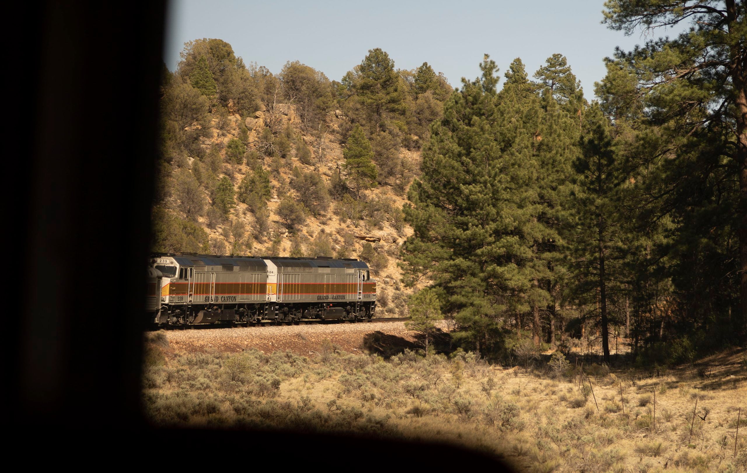 A train travels through a forested area with tall pine trees and rocky hills, seen from the window of another train—perfect for trips where getting there is part of the adventure.