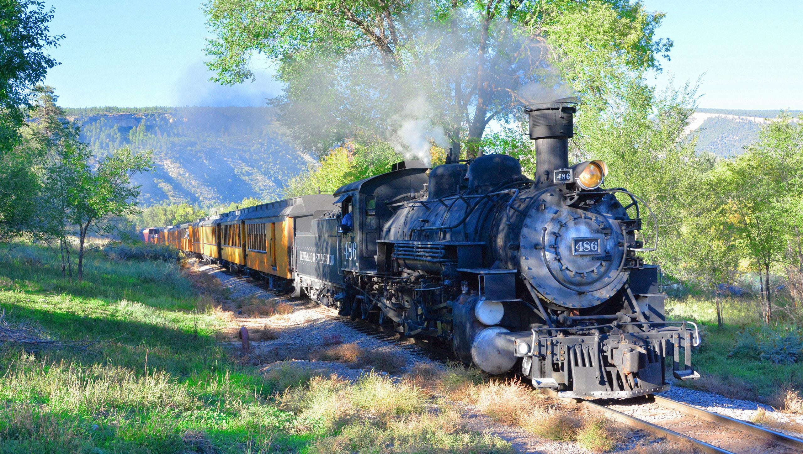 The Durango & Silverton steam locomotive 486 pulls vintage orange passenger cars through a sunlit, forested valley—trips where getting there is truly part of the adventure, framed by a breathtaking mountainous backdrop.