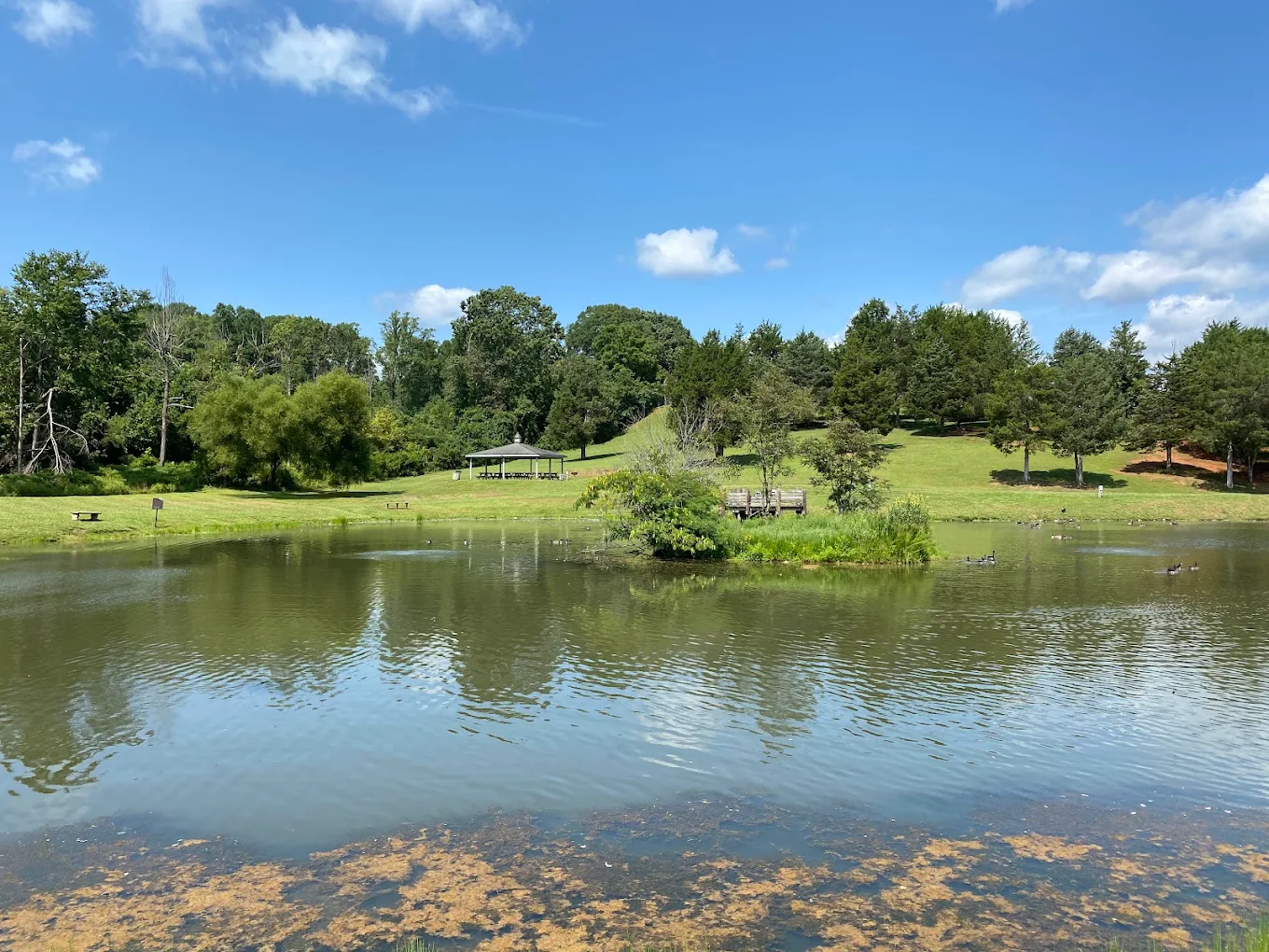 A peaceful pond with clear water reflects trees, grassy hills, and a blue sky with scattered clouds. A gazebo and benches sit by the water, surrounded by lush greenery.