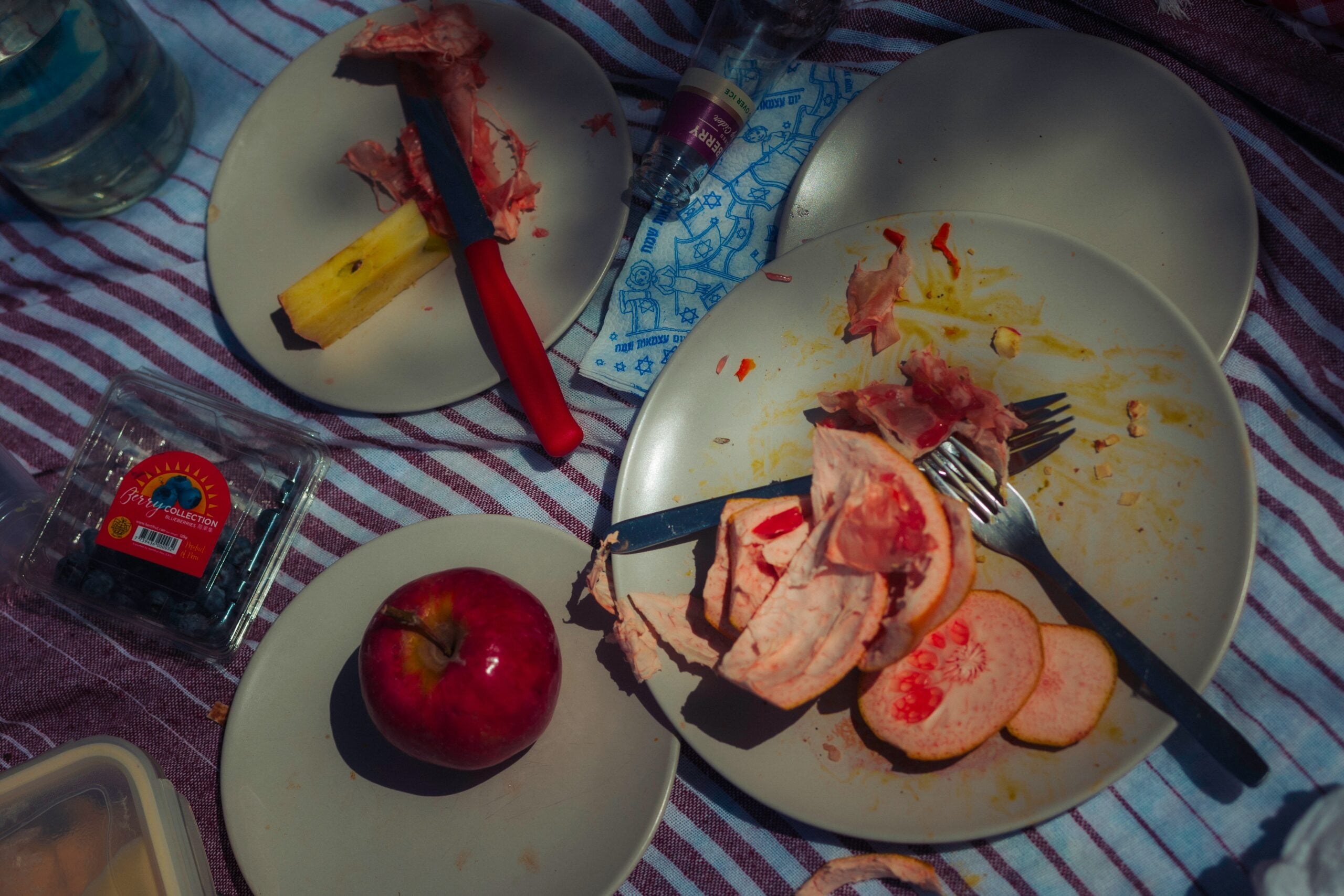 Plates with food scraps, a knife, a fork, a red apple, sliced fruit, a blueberry container, and a bottle are on a striped picnic blanket under dappled sunlight.