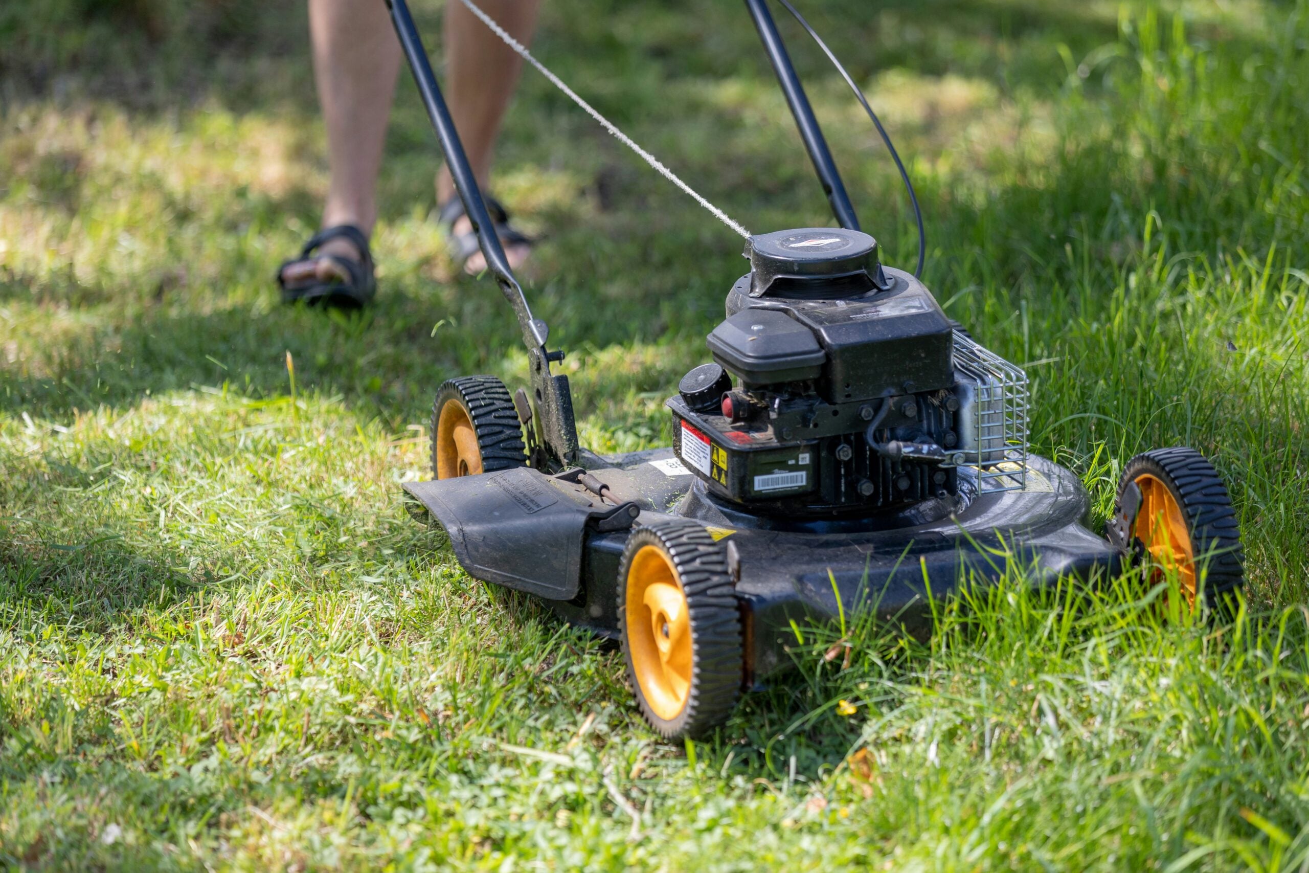 A person wearing sandals mows a grassy lawn with a black push lawn mower that has orange wheels. The grass appears freshly cut in some areas.