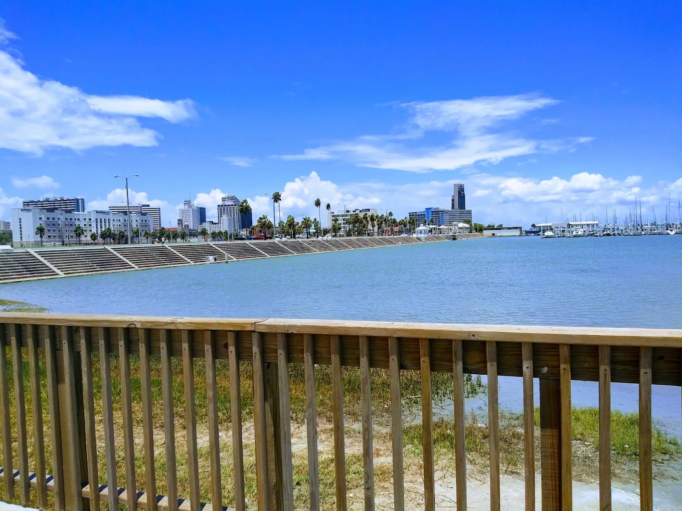 A wooden railing overlooks a calm bay with city buildings, palm trees, and boats in the distance under a bright blue sky with scattered clouds.
