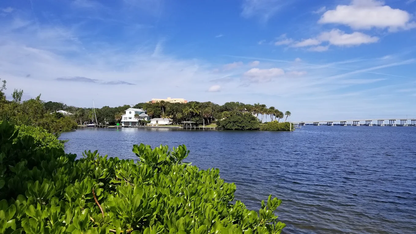 A calm blue river with green bushes in the foreground, a white house and palm trees on the far shore, and a long bridge stretching across the water under a bright blue sky with scattered clouds.