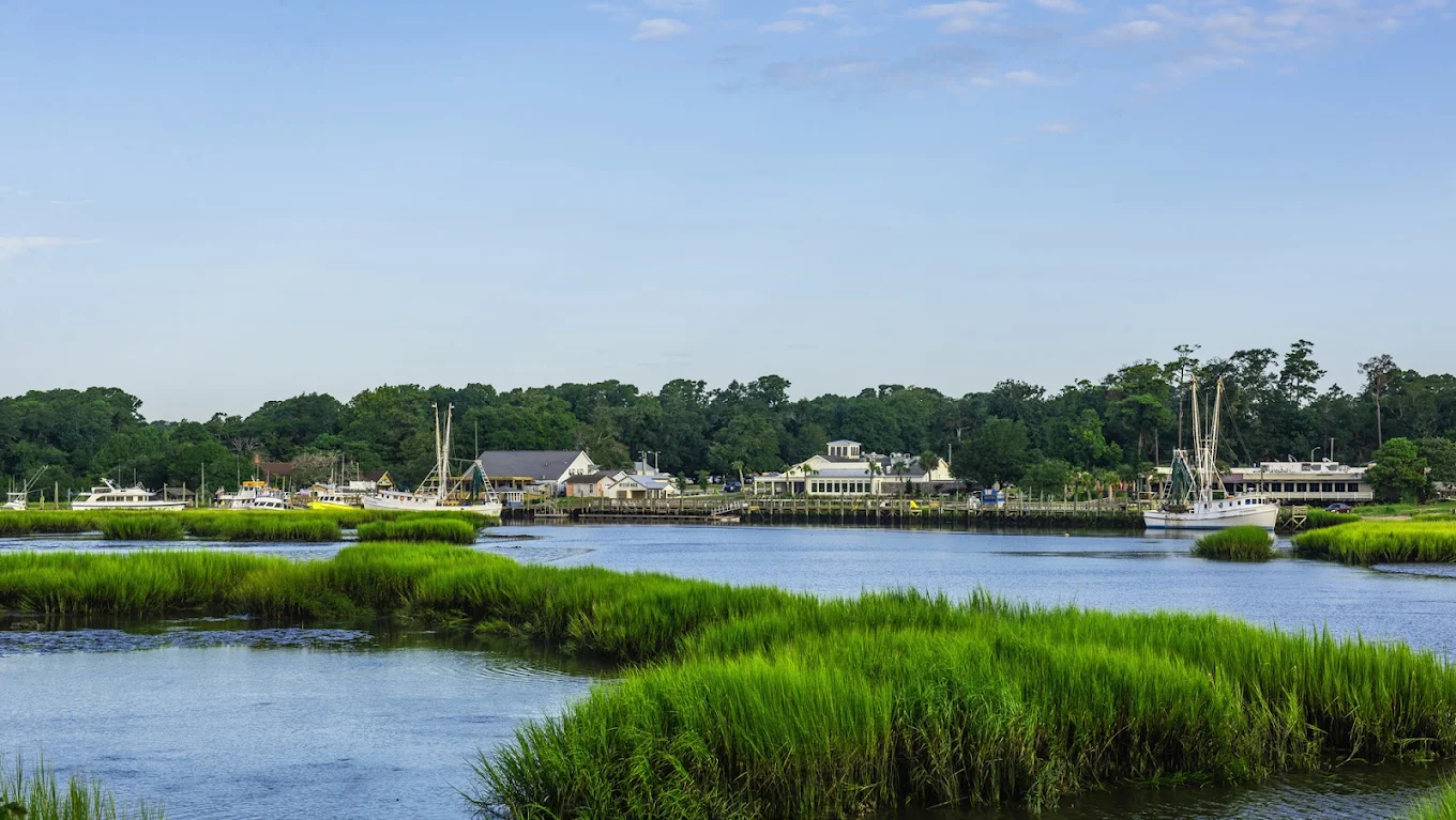 A scenic view of a coastal marsh with tall green grasses, calm water, boats docked at a distant pier, and buildings surrounded by trees under a blue sky.