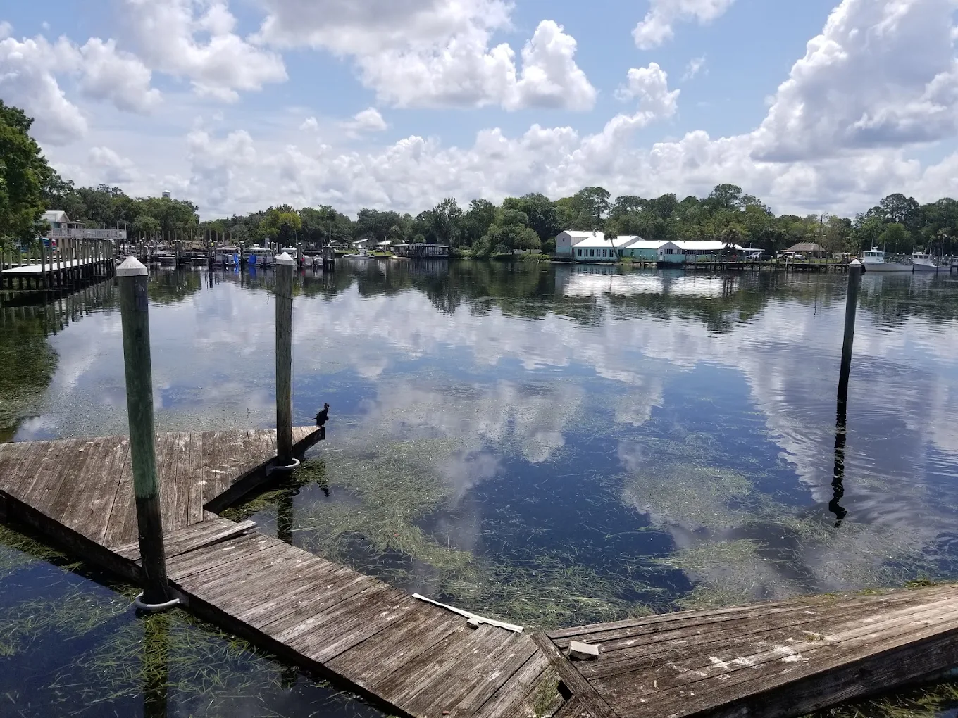 A wooden dock with missing planks extends over a calm, reflective lake. Houses and trees line the shore under a partly cloudy sky.