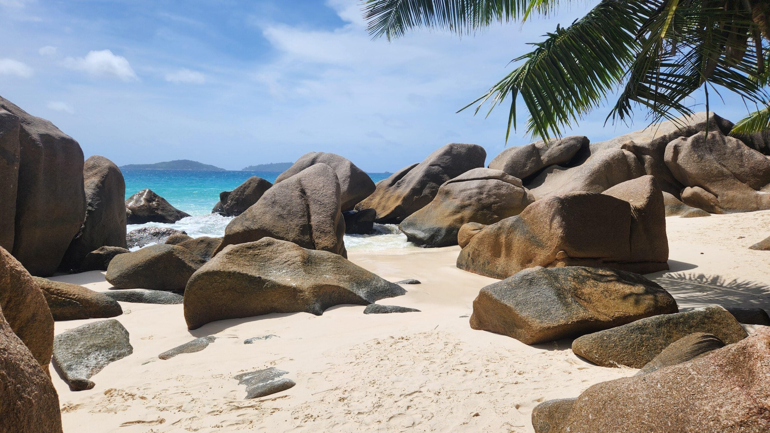 Large smooth boulders rest on a sandy beach with turquoise ocean waves and a blue sky, framed by palm leaves in the top right corner—an idyllic scene that captures the essence of incredible beaches.
