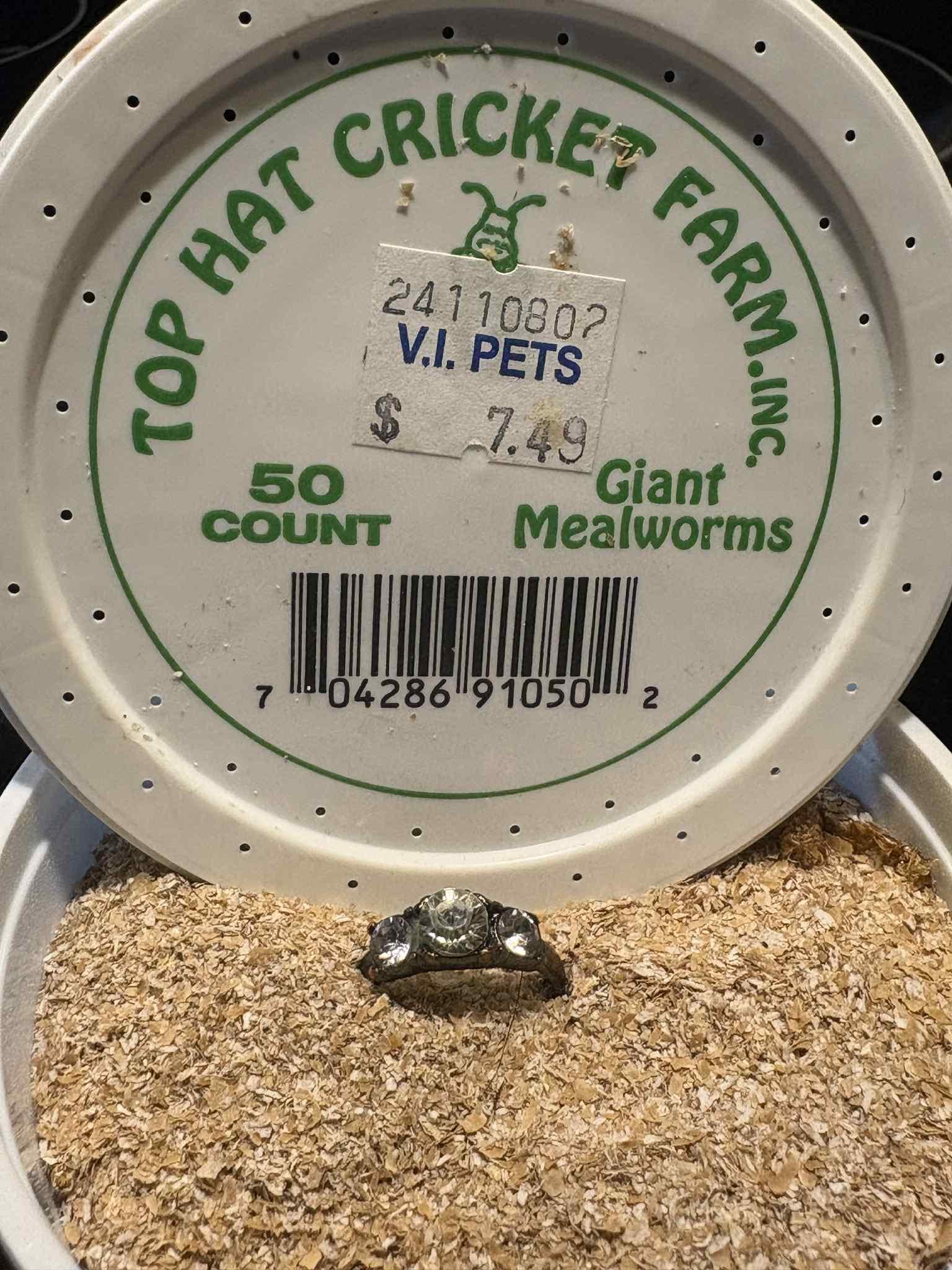 A silver ring sits on top of mealworm bedding inside a white container labeled “Top Hat Cricket Farm Inc. Giant Mealworms, 50 count, $7.49.”