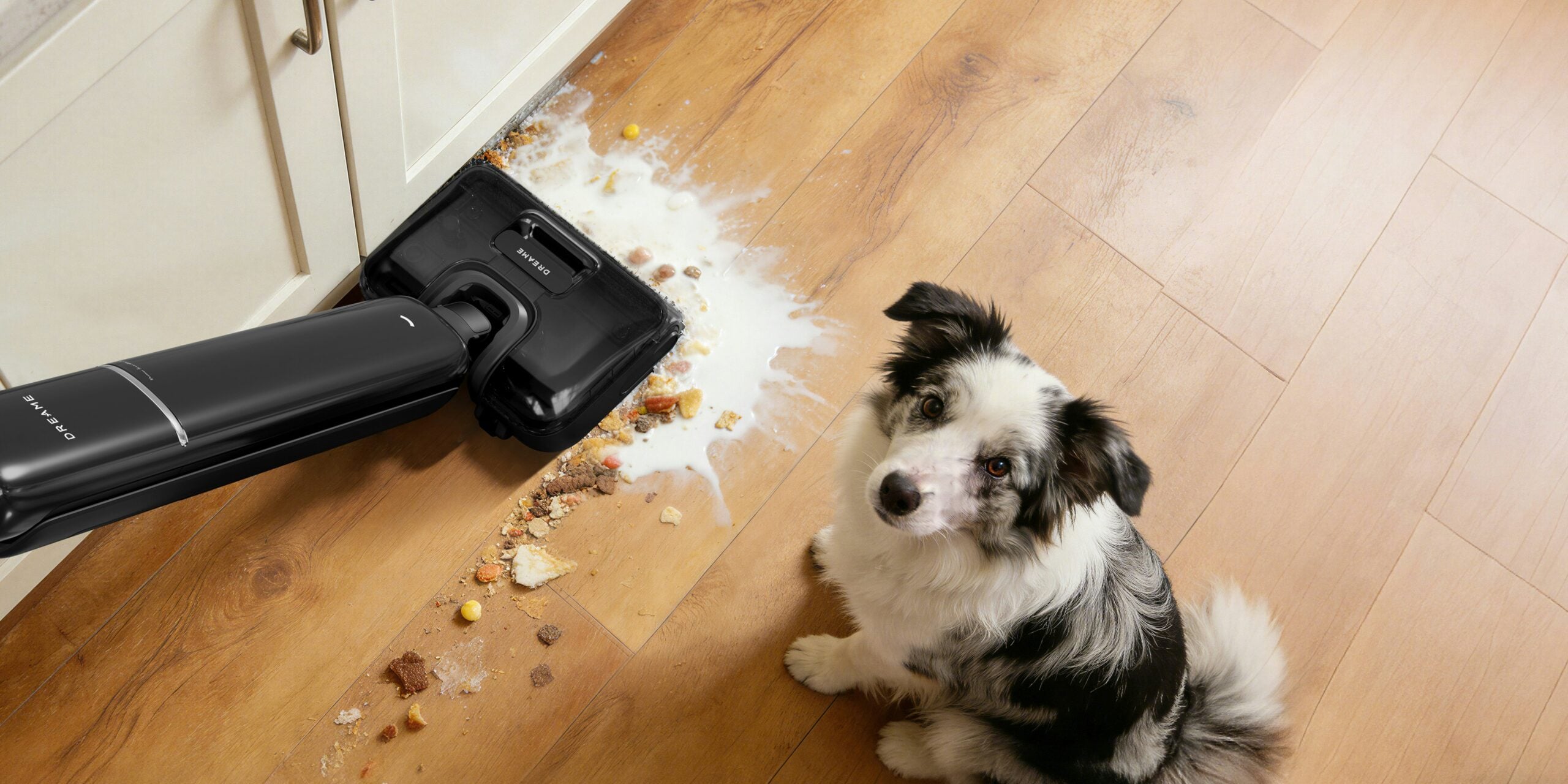 A black and white dog sits on a wooden floor next to a spilled mess of food and milk while a vacuum cleaner cleans up the spill near white cabinets.