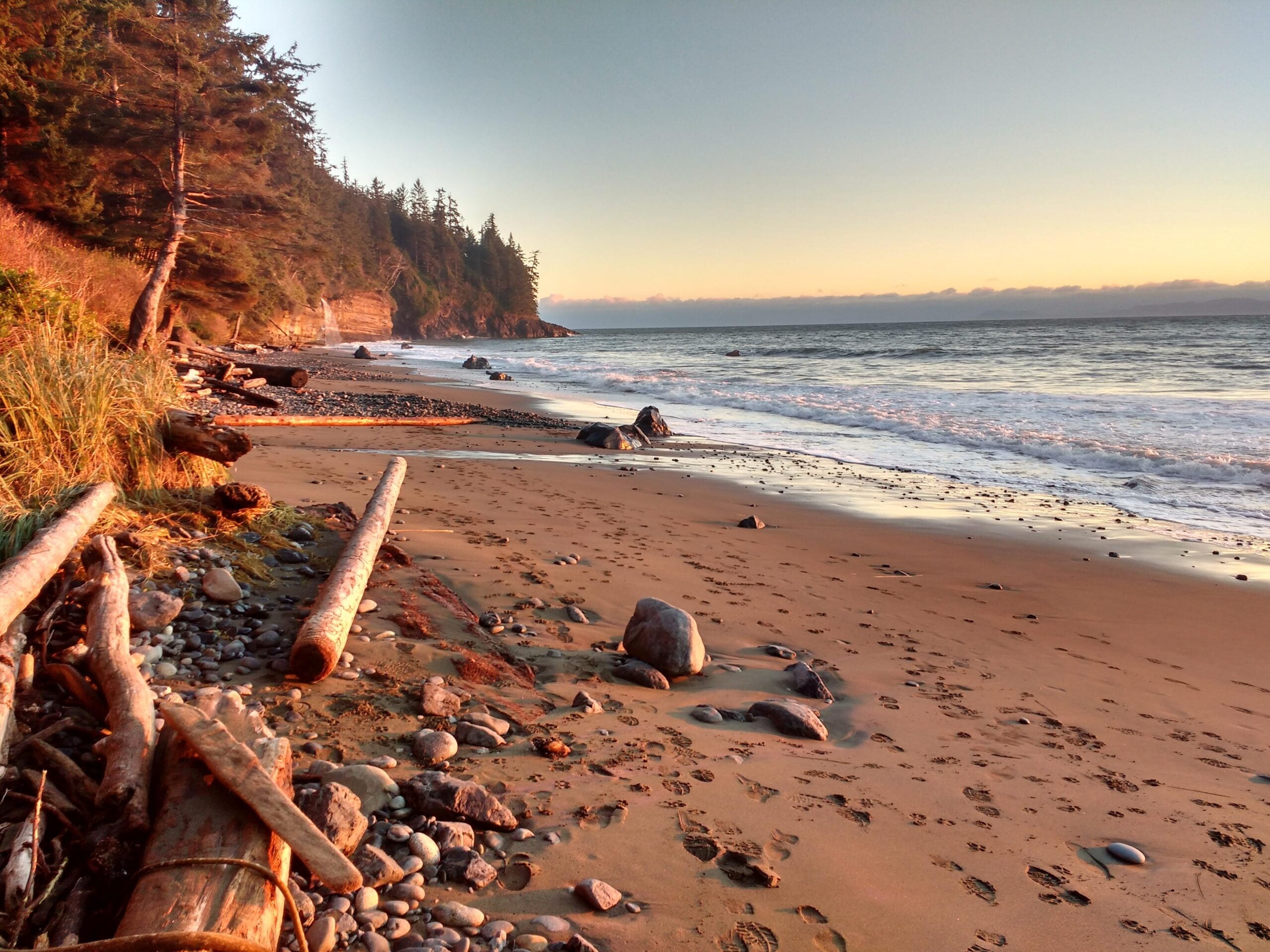 A sandy beach with driftwood and rocks, bordered by forested cliffs, with gentle waves and a clear sky at sunset.