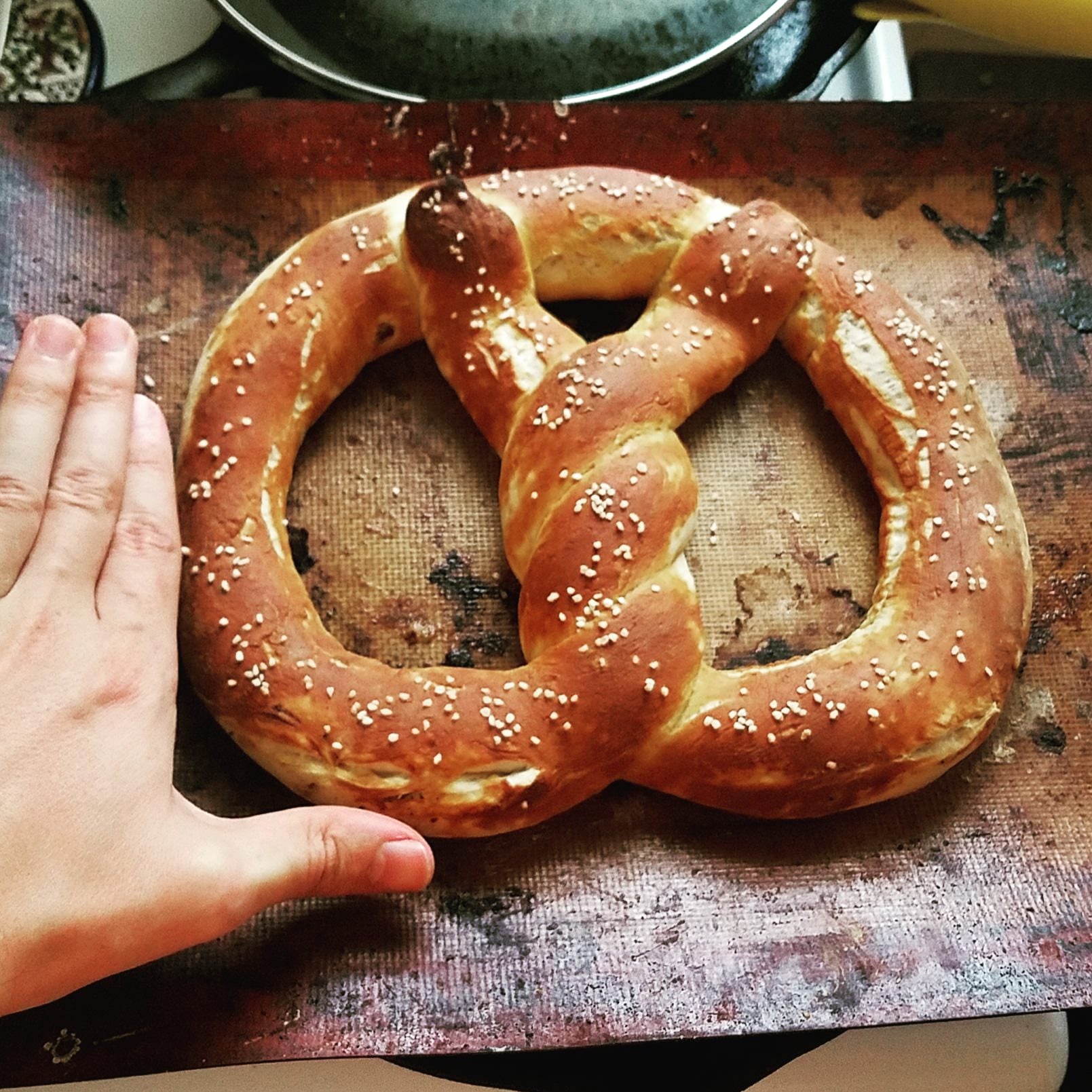A large, salted pretzel sits on a baking tray next to a person’s hand, showing the pretzel is almost as big as the hand.