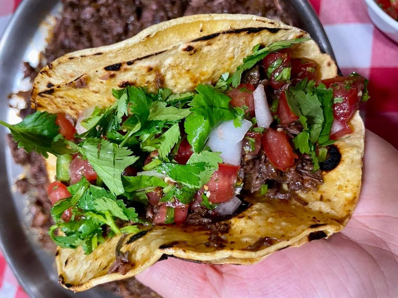 A hand holds a taco filled with shredded beef, chopped onions, tomatoes, and fresh cilantro on a grilled corn tortilla. A plate of more shredded beef is in the background.