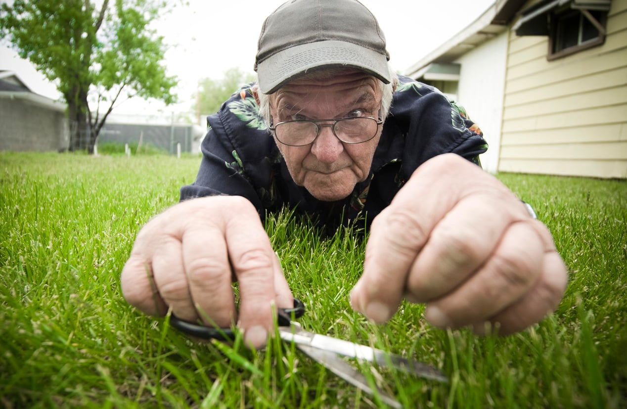 An elderly man wearing glasses and a cap lies on the grass, carefully trimming it with scissors, focusing intently. A house and trees are visible in the background.